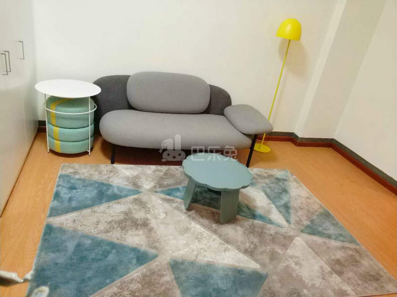 扎根公寓4794417客厅图5