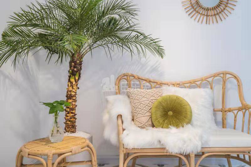 小七洋房天秤座4799470卧室图6