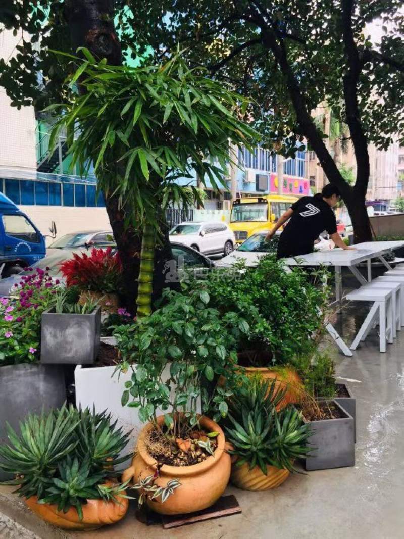 小七洋房白羊座4799523周边环境图8