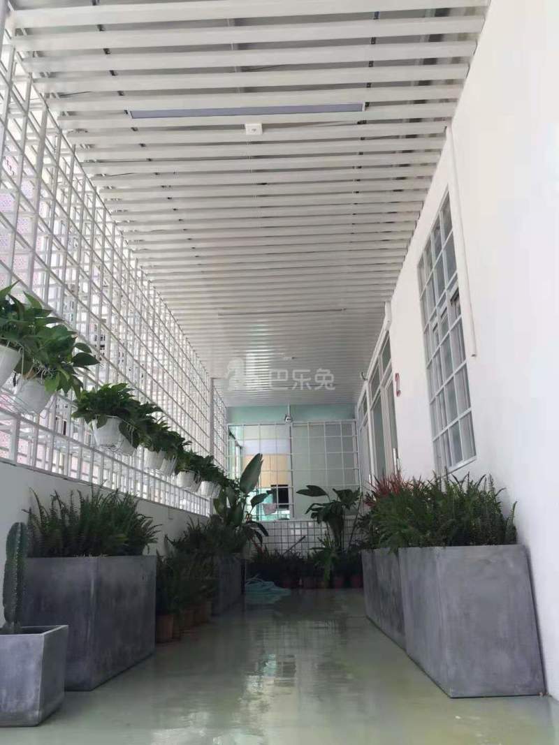 小七洋房七星家4799533客厅图8