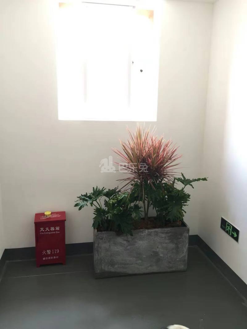 小七洋房七星家4799533客厅图6