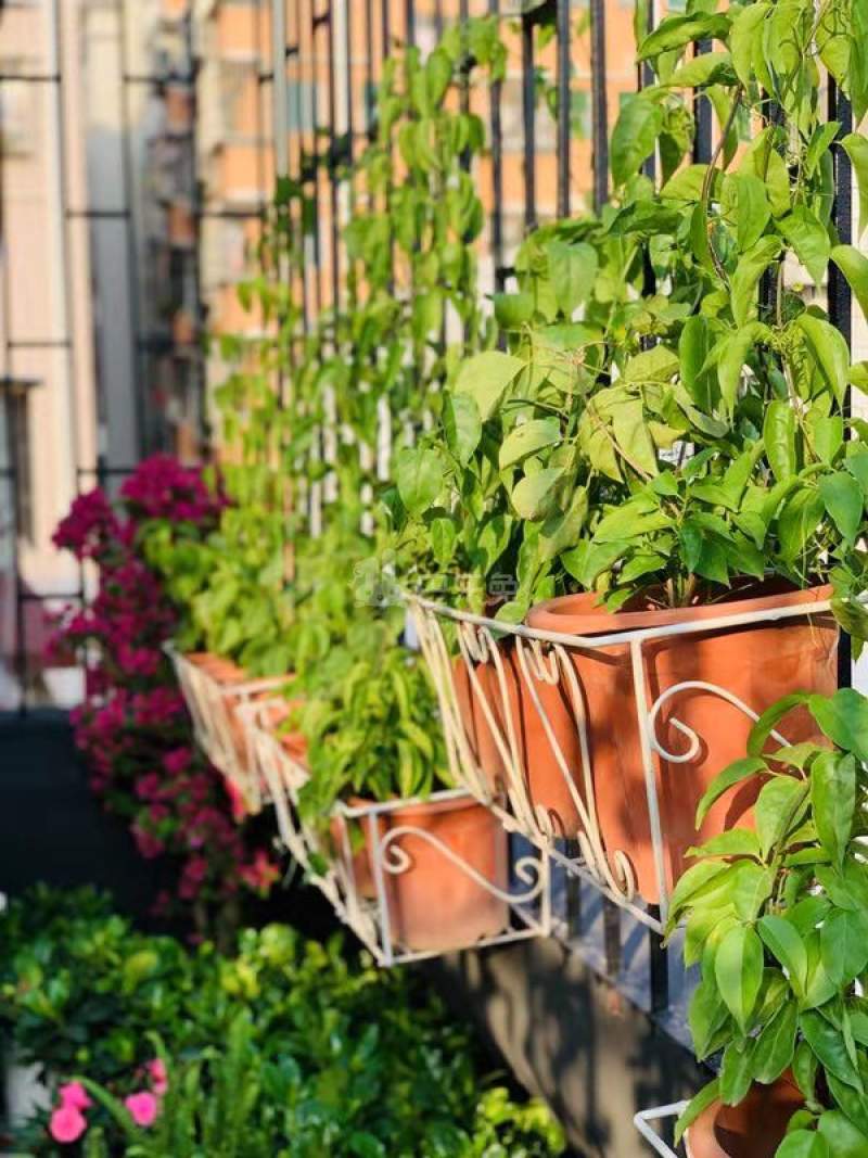 小七洋房金牛座4799596周边环境图7