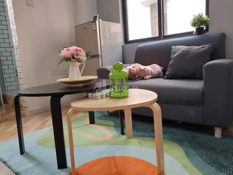 悠悠公寓4803328客厅图10