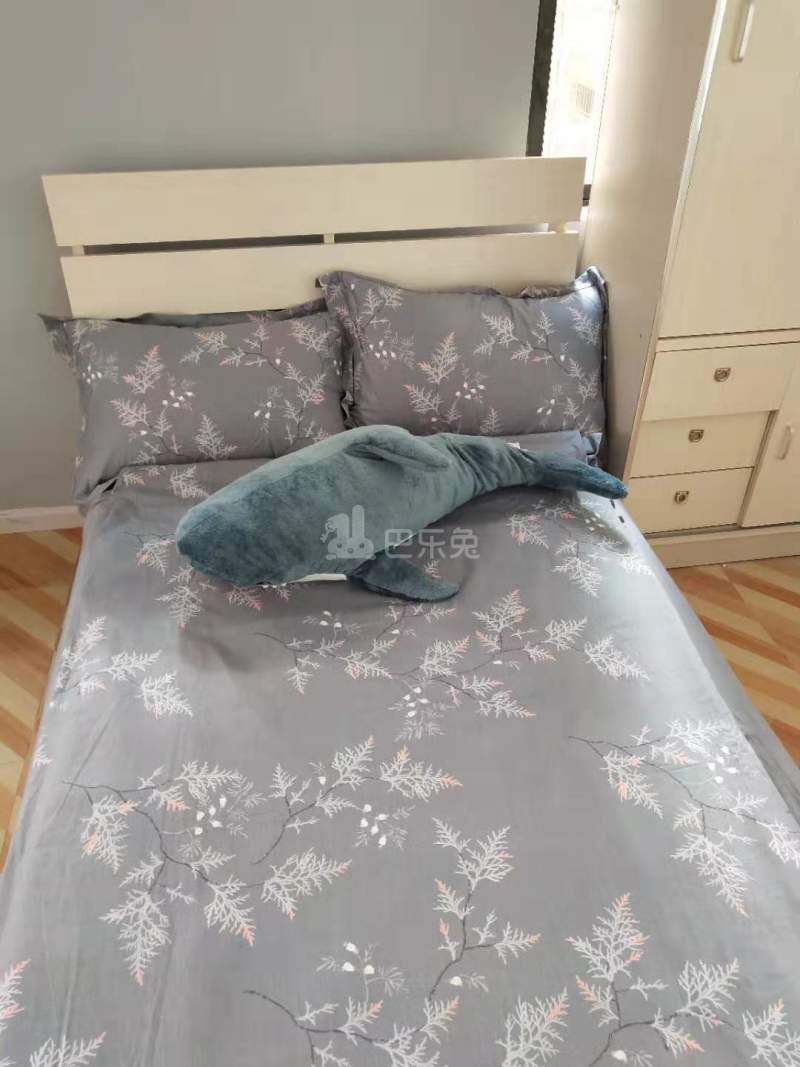 悠悠公寓4803328卧室图6