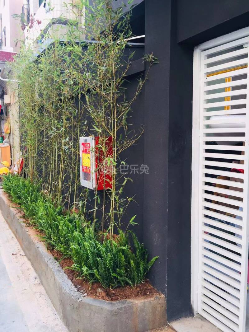 小七洋房金牛座4806321周边环境图8