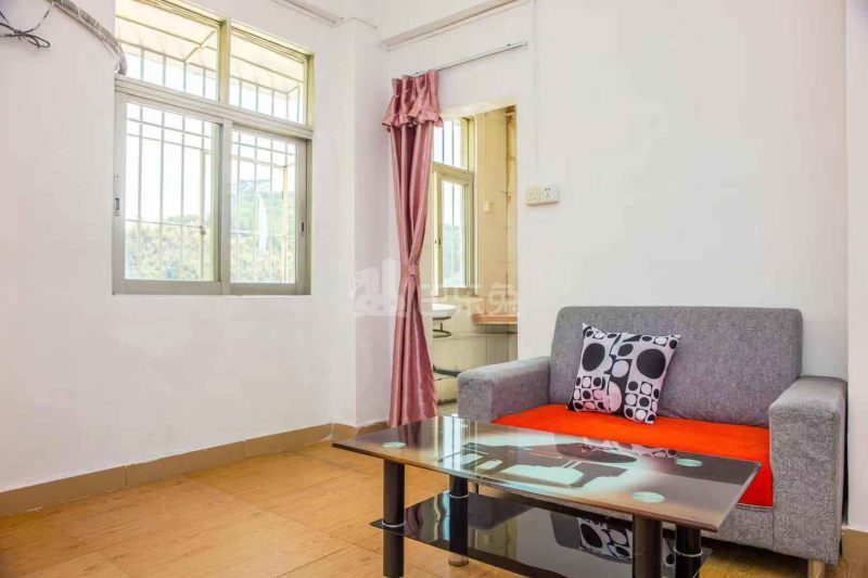 小屋公寓（25号）4830970客厅图4