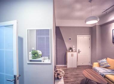 枢纽公寓（龙胜店） 1室1厅1卫