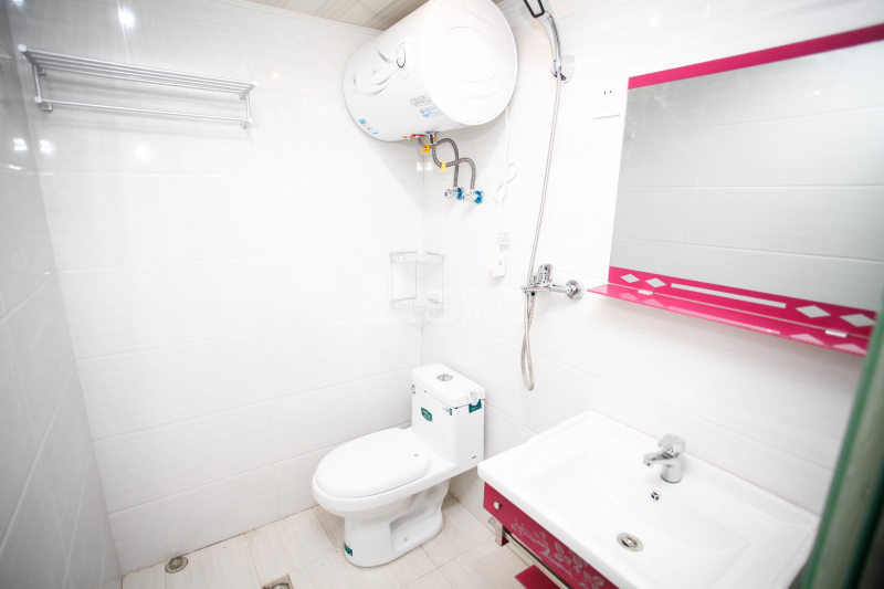 隆铁公寓485130卫生间图14