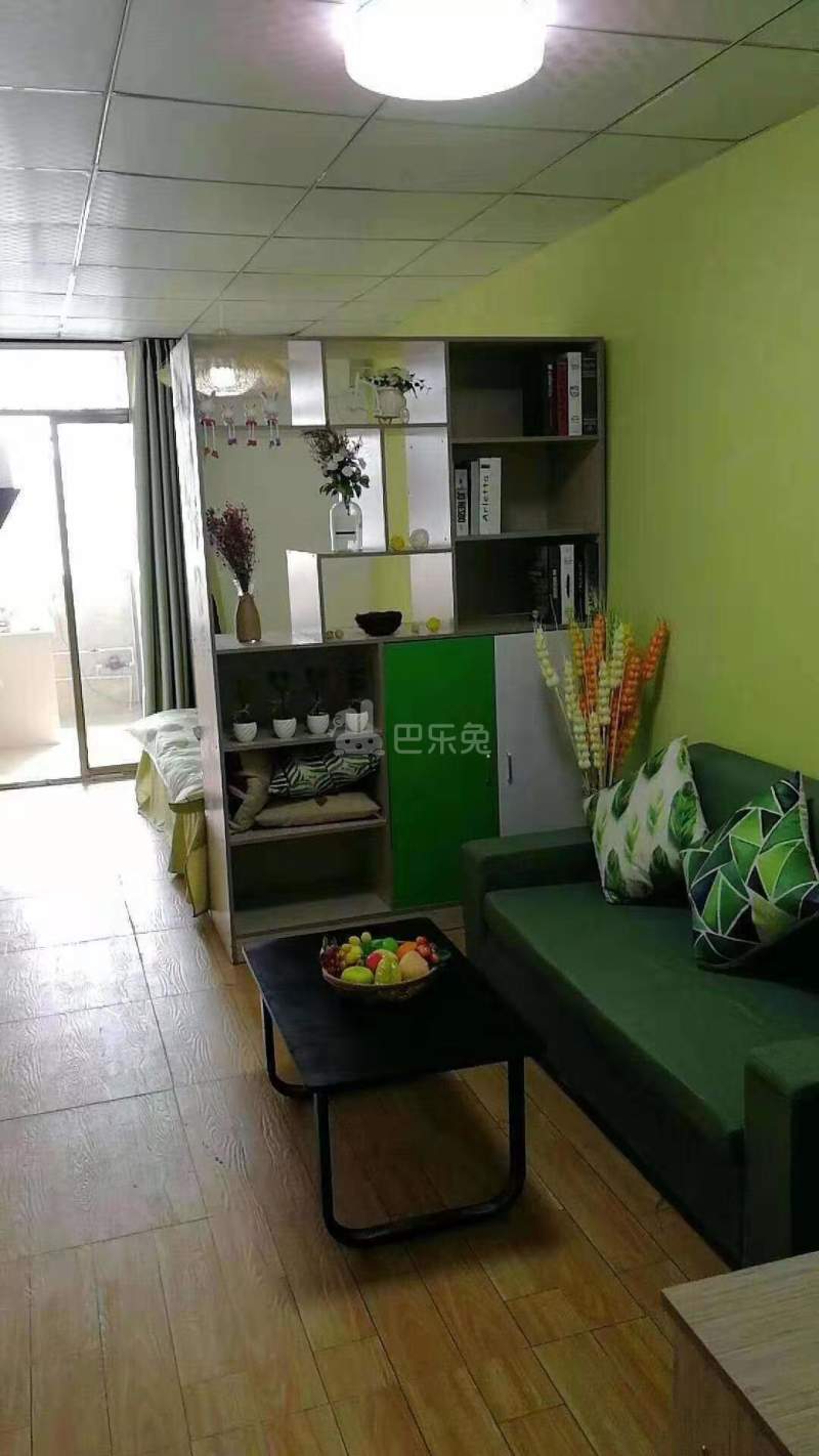 蚂蚁公寓（爱联店）4891331客厅图2