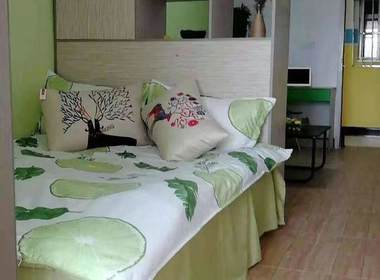 蚂蚁公寓（爱联店） 1室1厅1卫