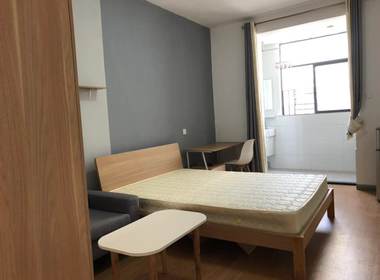 盛夏公寓 1室0厅1卫