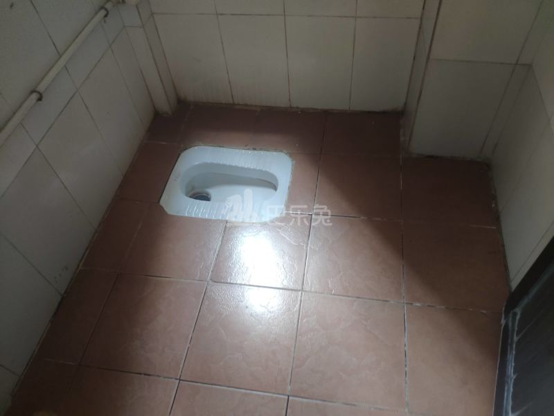 豪华公寓（大山村二夹坊前街46号）4923066卫生间图12