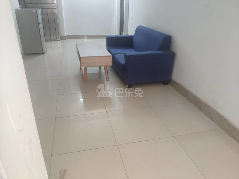 豪华公寓（大山村二夹坊前街46号）4923066客厅图8