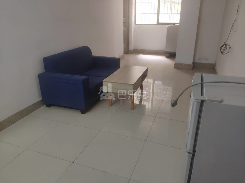 豪华公寓（大山村二夹坊前街46号）4923066客厅图9