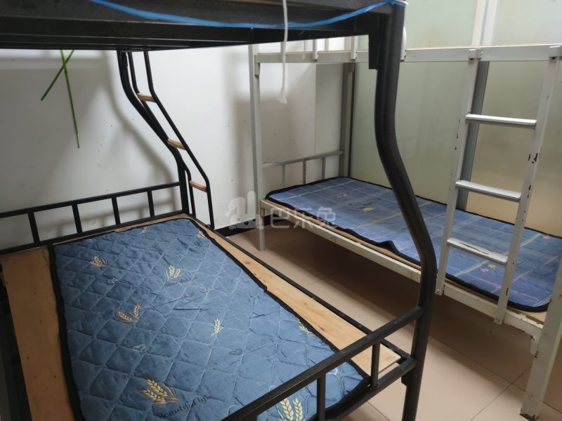 南山村4956166卧室图1