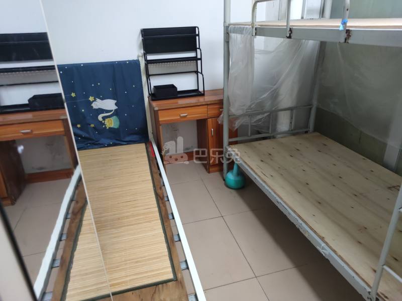 南山村4956166客厅图4