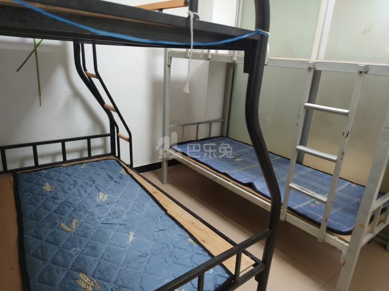 南山村4956166卧室图0