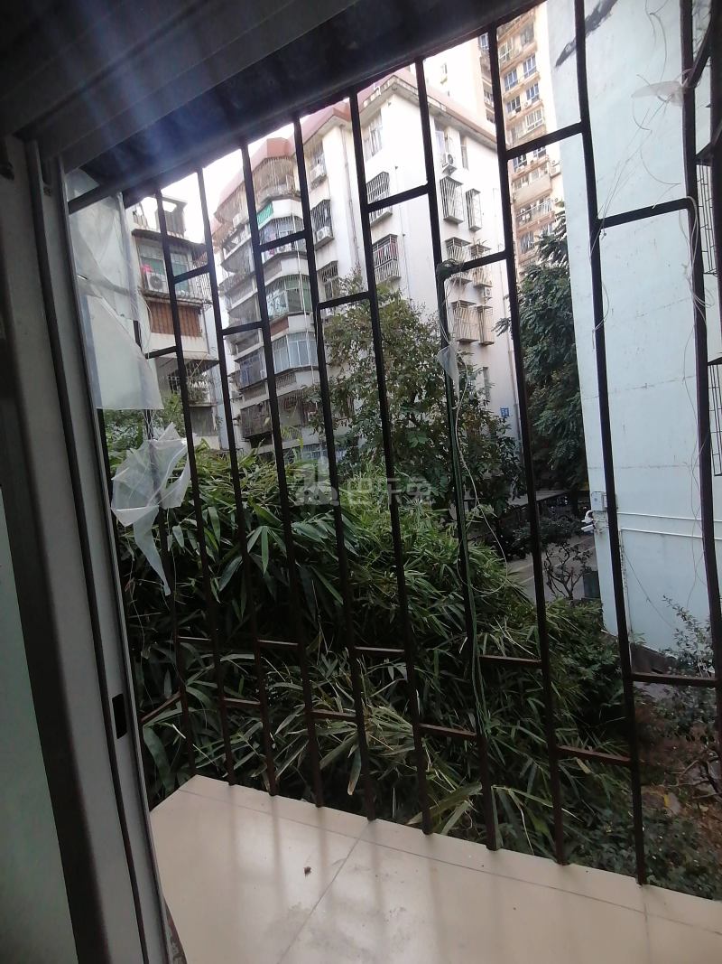 南油生活B区4959215周边环境图9