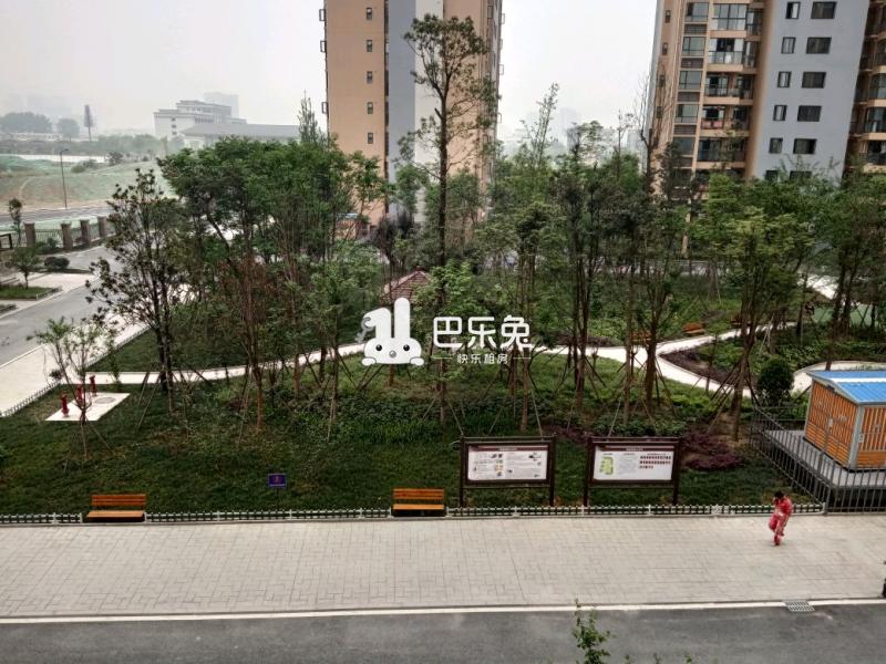 南湖尚景