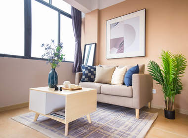 碧家国际社区（塘尾十一区店） 2室1厅1卫