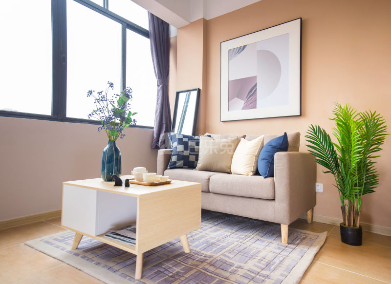 碧家国际社区（塘尾十一区店）4986906客厅图12