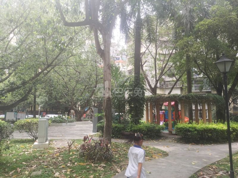 康乐园5003492周边环境图9