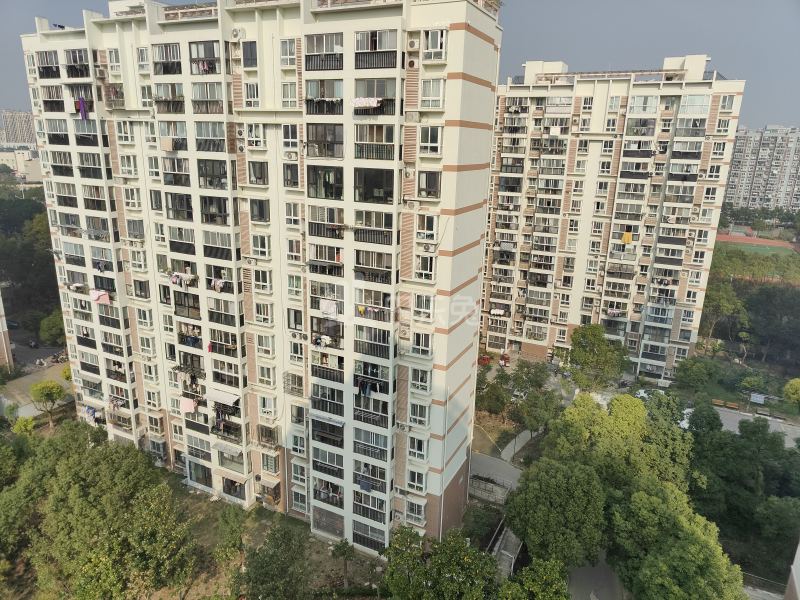 高行绿洲六期502409周边环境图14