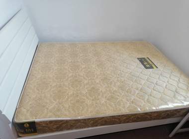 统嘉公寓（嘉禾望岗大岭中街二十二巷22号） 2室1厅1卫