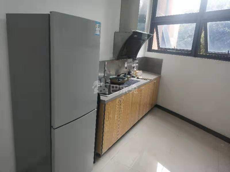 乐乎城市青年社区（九龙湖门店）5554034厨房图5