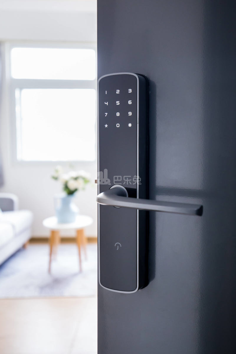 碧家国际社区（横岭店）5596874客厅图10