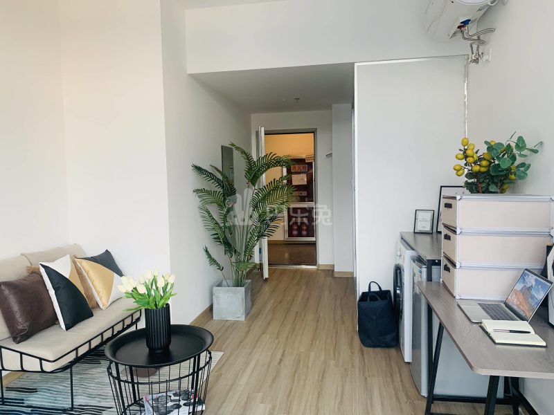 龙湖冠寓南京新壹城店5600327客厅图3