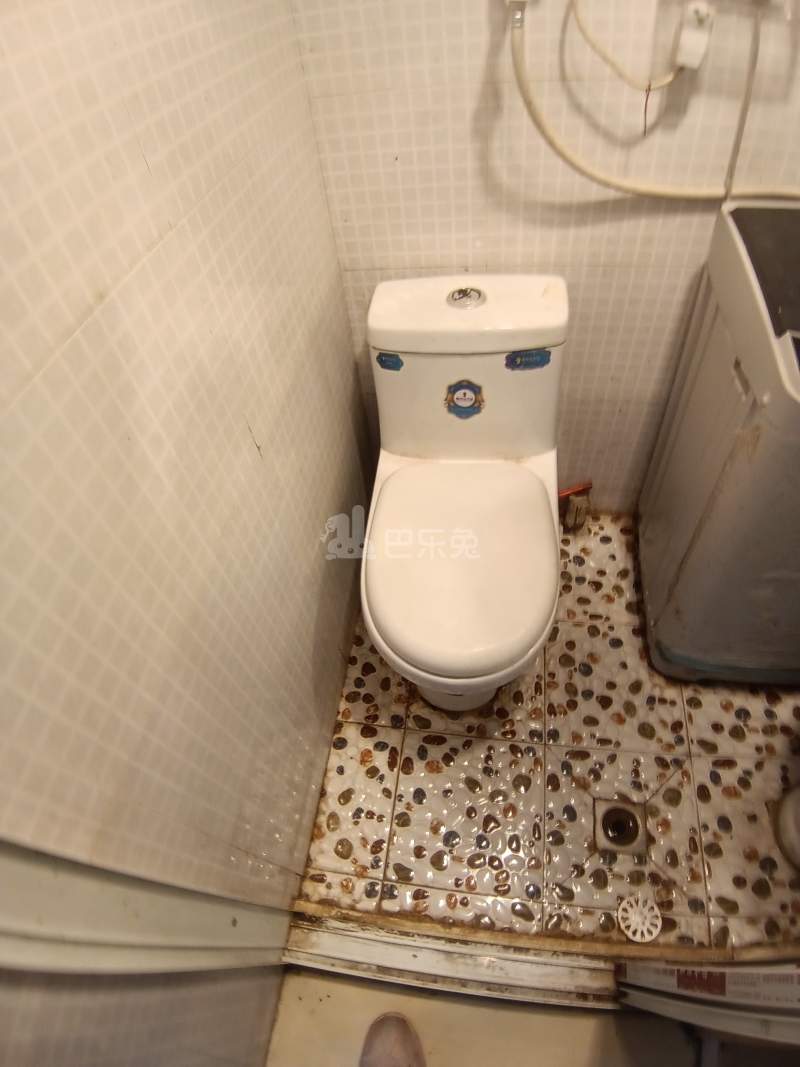 西汪宅鹤鸣村（民房）5650559卫生间图12