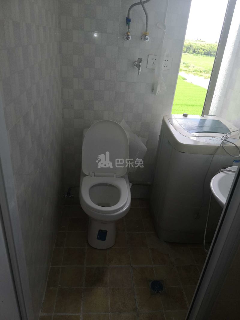 西汪宅鹤鸣村（民房）5650559卫生间图14