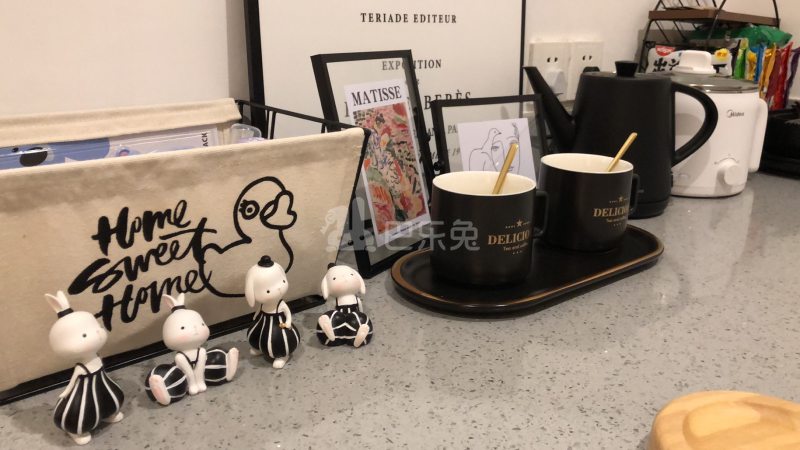 龙湖冠寓南京东大九龙湖校区店5653193客厅图29