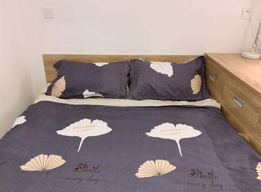 龙湖冠寓深圳吉祥地铁站店 1室0厅1卫