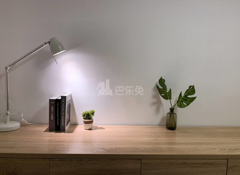 龙湖冠寓深圳吉祥地铁站店5673619周边环境图11