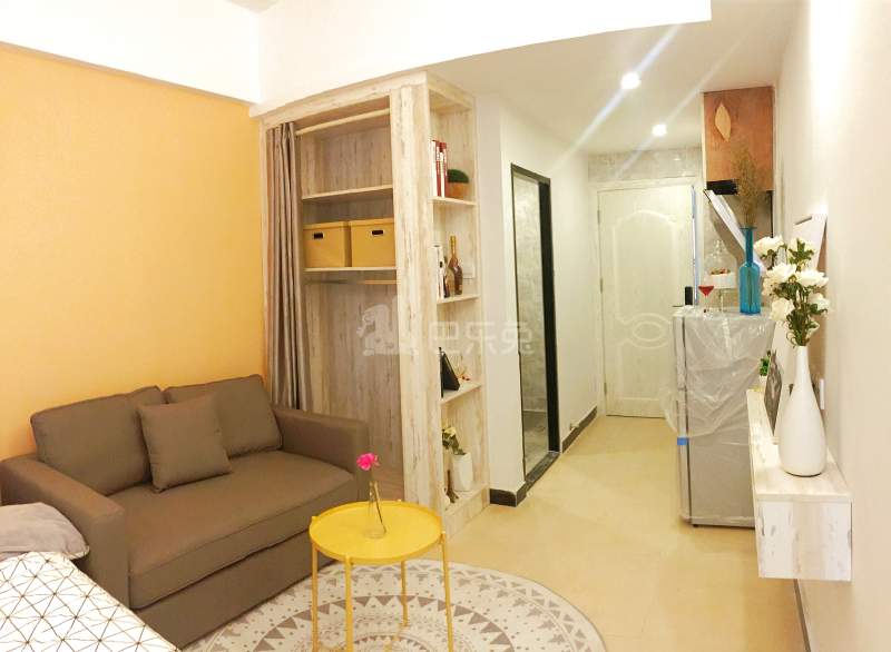 庭苑公寓（常青藤店）5740808客厅图6