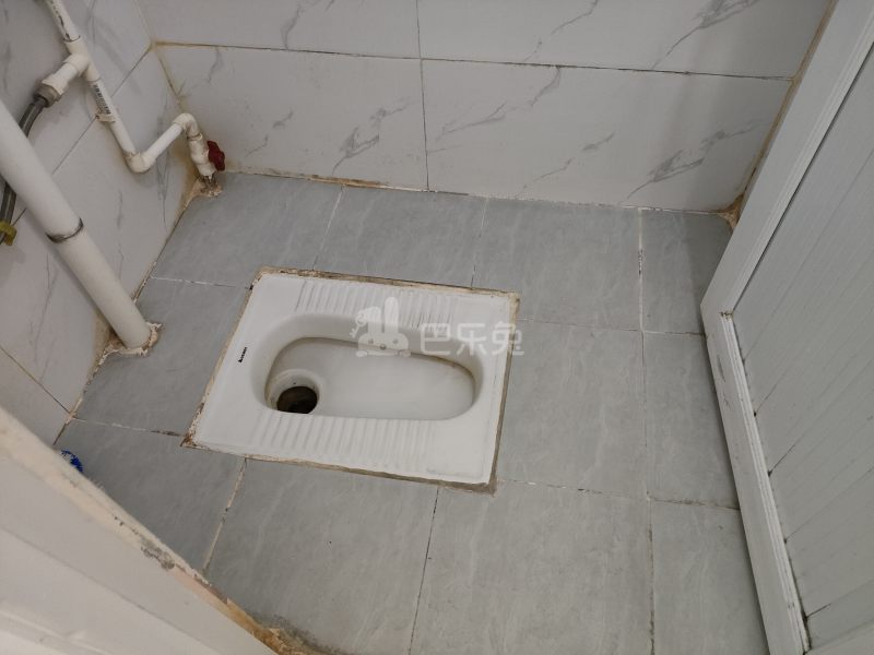 桃花园（南山大道）5777368卫生间图4