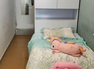 桃花园（南山大道） 