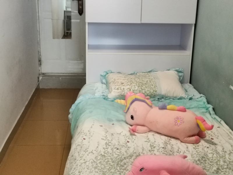 桃花园（南山大道）5777368卧室图3