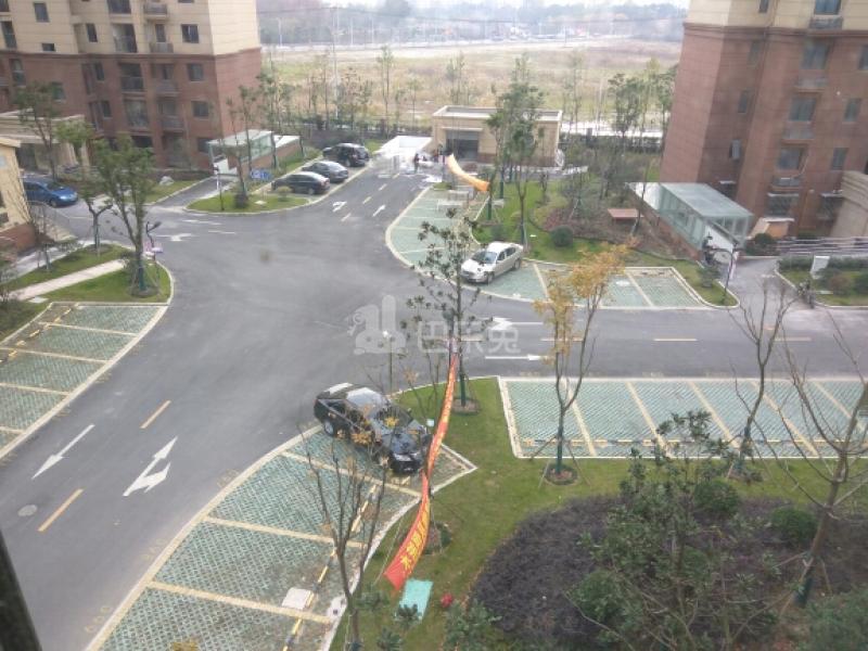 兰棠佳苑14136823周边环境图11