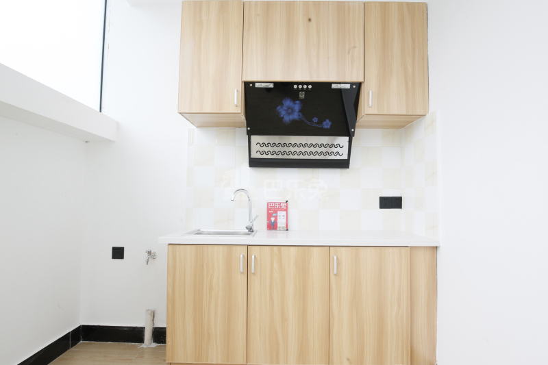 青年E族公寓（乐都店）592364厨房图19