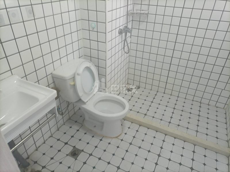 瑞和城三街区（汇臻路815弄）5966091卫生间图17