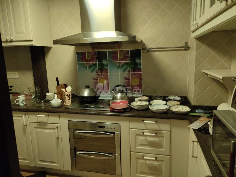 鎏园·中星新城5994251厨房图8