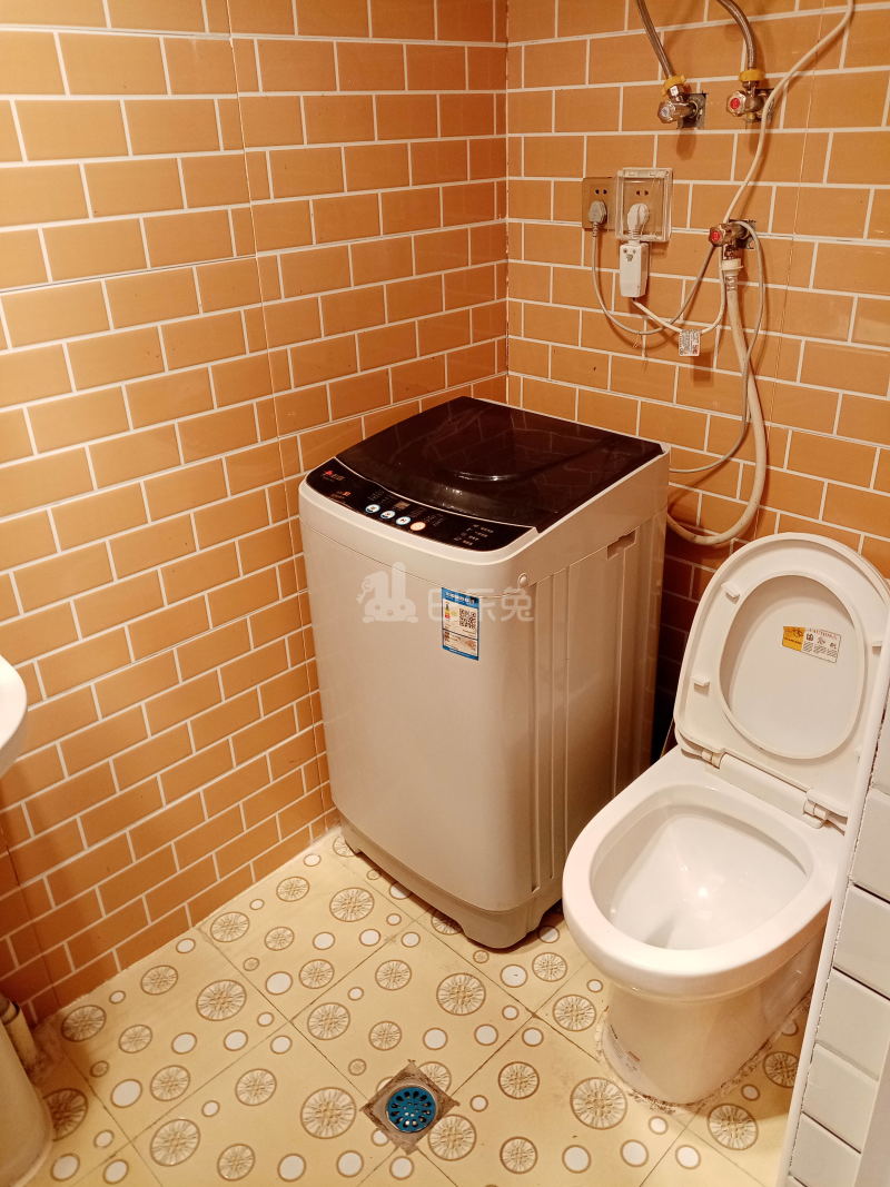 阳光花城6003694卫生间图4