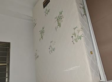 南园村 1室1厅1卫