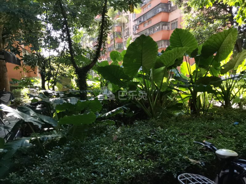 沙河荔园新村6028855周边环境图6