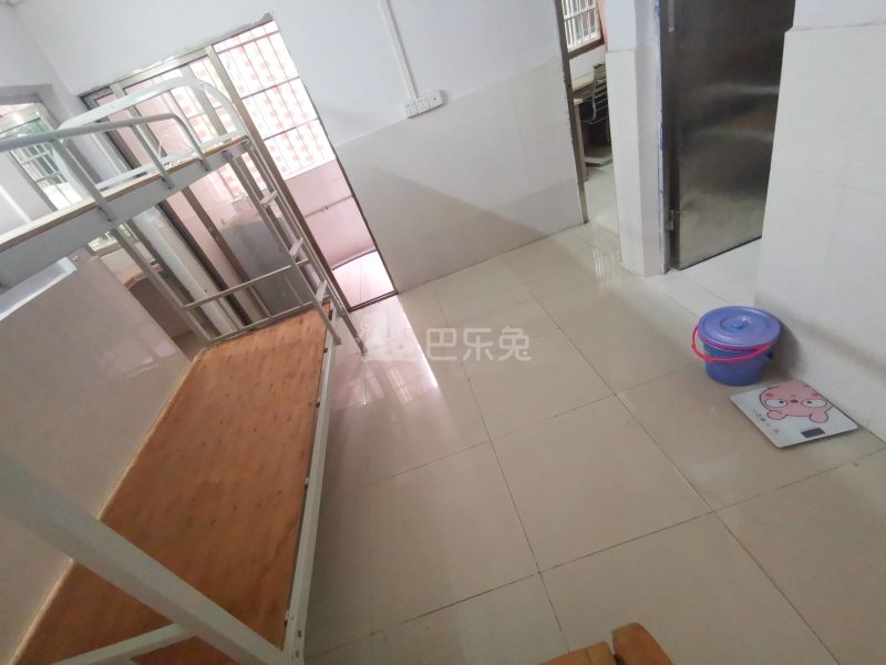 舒鑫公寓（大石大山村大涌路大成坊35号）6112726客厅图14