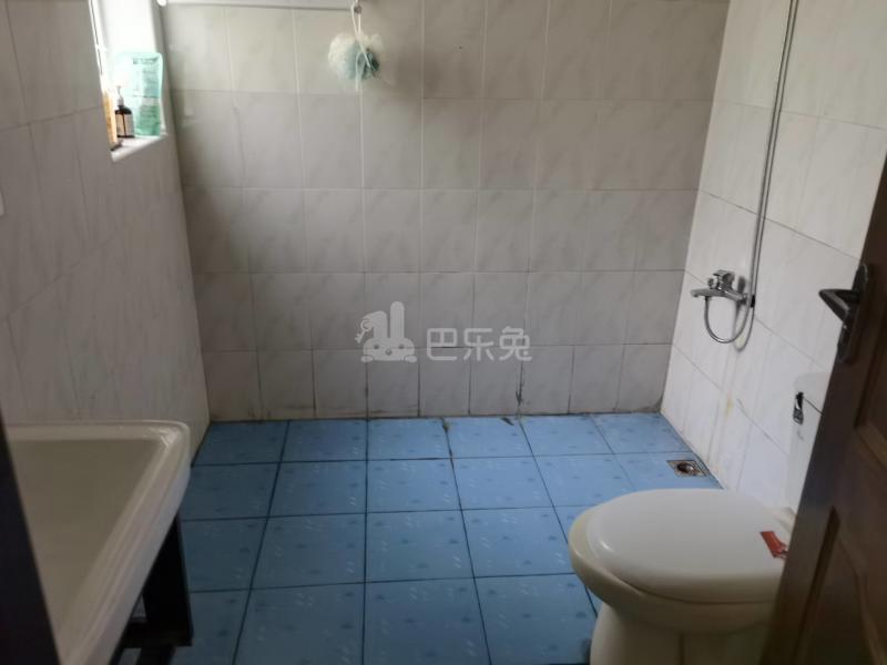 东城花苑二村6125239卫生间图14