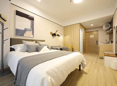 龙湖冠寓深圳南山地铁站店 1室0厅1卫